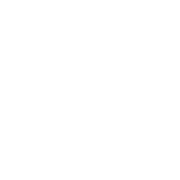 shield-minimalistic-svgrepo-com.png