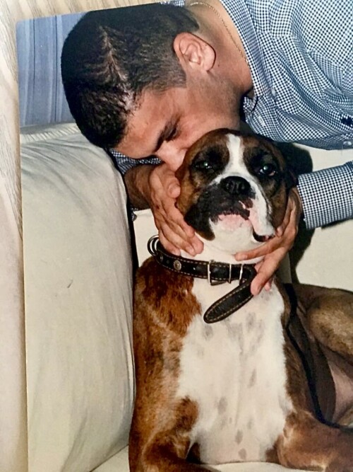 ibrahim murat gunduz’s boxer dog