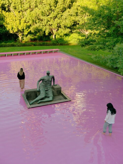 Gallery-of-Pink-Pond-_-Taylor-Knights--James-Carey---21.jpeg