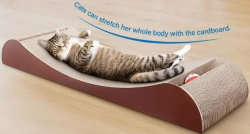 Cat Scratching Cozy Lounge