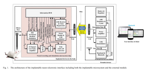 A-Battery-Less-Implantable-Neuro-Electronic-Interface-for-Studying-the-Mechanisms-of-Deep-Brain-Stimulation-in-Rat-Models4afa89fb39bb92f8.png