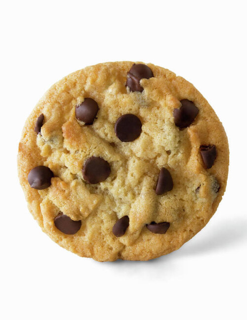 single chocolate chip cookie burazin