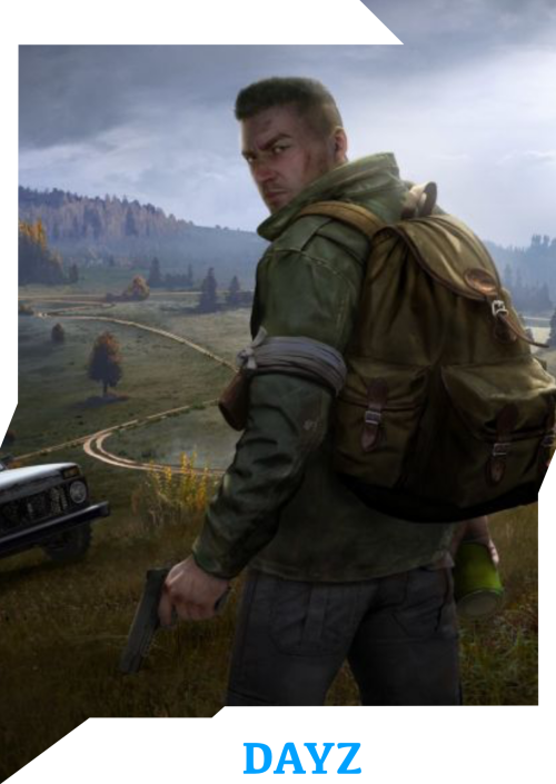 dayz.png