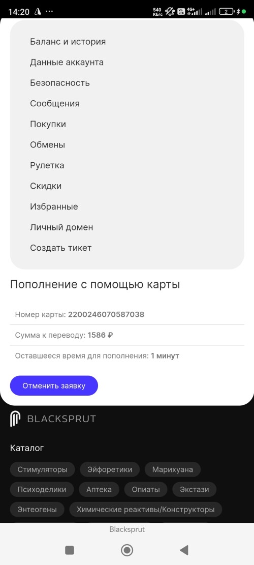 Screenshot_2024-10-23-14-20-20-804_com.yandex.browser.jpg