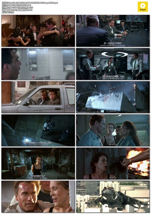 True.Lies.1994.2160p.WEB-DL.H265.AAC-LeagueWEB.mp4.jpg