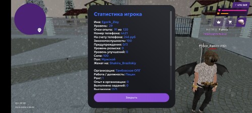 Screenshot_20241223_201022_com.matreshkarp.game.jpg