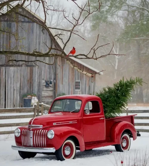 Winter-cardinal--red-truck.webp