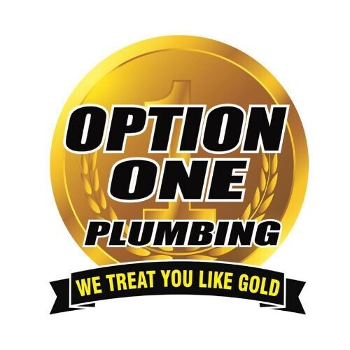 optiononeplumbin